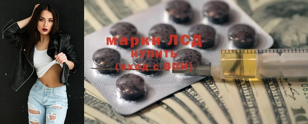 ГАЛЛЮЦИНОГЕННЫЕ ГРИБЫ Иннополис