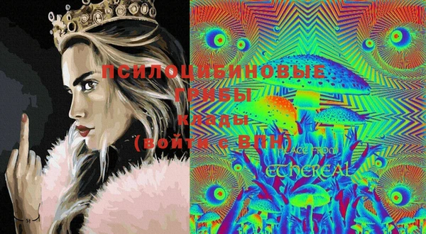 ГАЛЛЮЦИНОГЕННЫЕ ГРИБЫ Иннополис