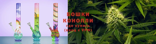 ГАЛЛЮЦИНОГЕННЫЕ ГРИБЫ Иннополис