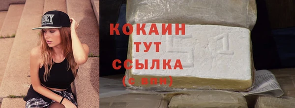 ГАЛЛЮЦИНОГЕННЫЕ ГРИБЫ Иннополис