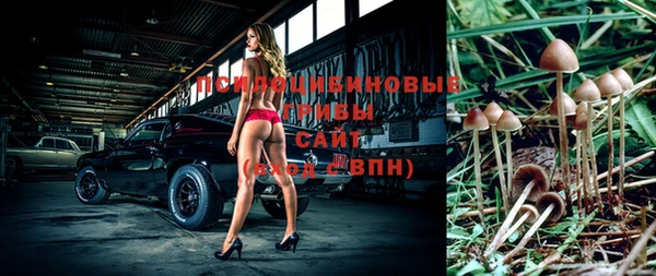 спиды Инта