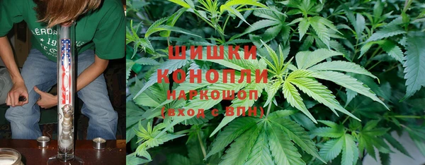 амф Инсар