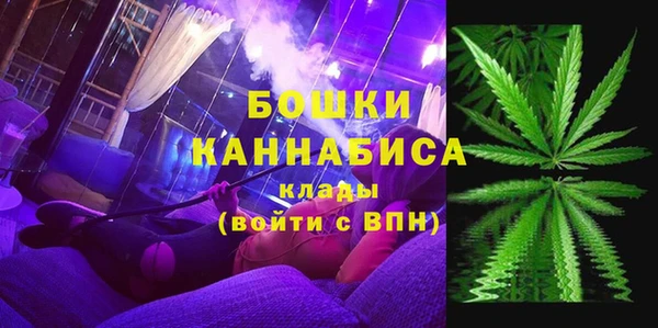 ГАЛЛЮЦИНОГЕННЫЕ ГРИБЫ Иннополис