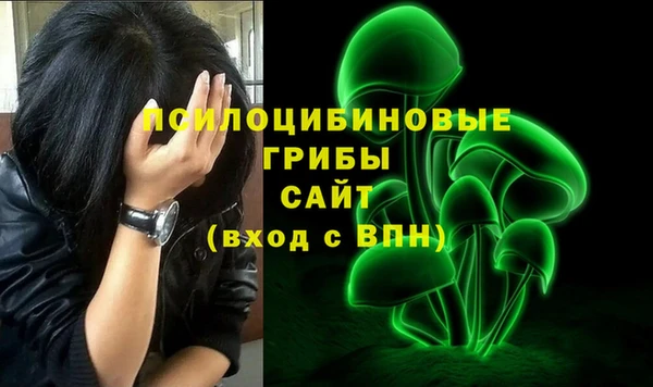 ГАЛЛЮЦИНОГЕННЫЕ ГРИБЫ Иннополис