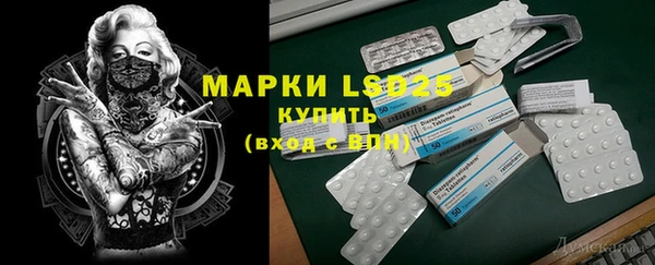спиды Инта